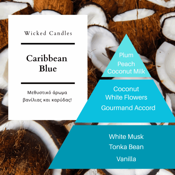 Caribbean Blue Car Diffuser - Image 2