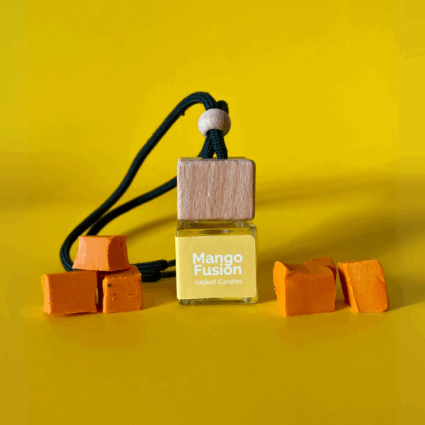 Mango Fusion Car Diffuser
