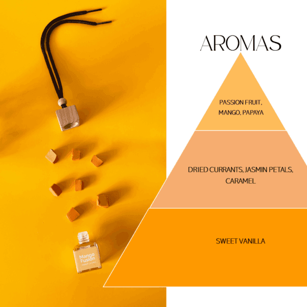 Mango Fusion Car Diffuser - Image 2